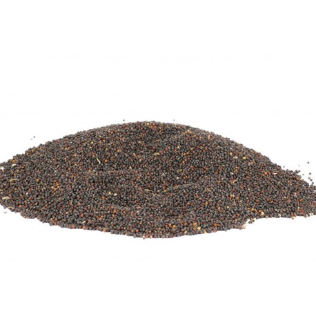 Řepka - 1 Kg