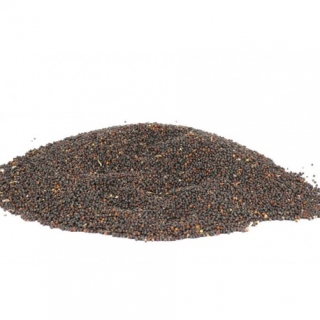 Řepka - 1 Kg